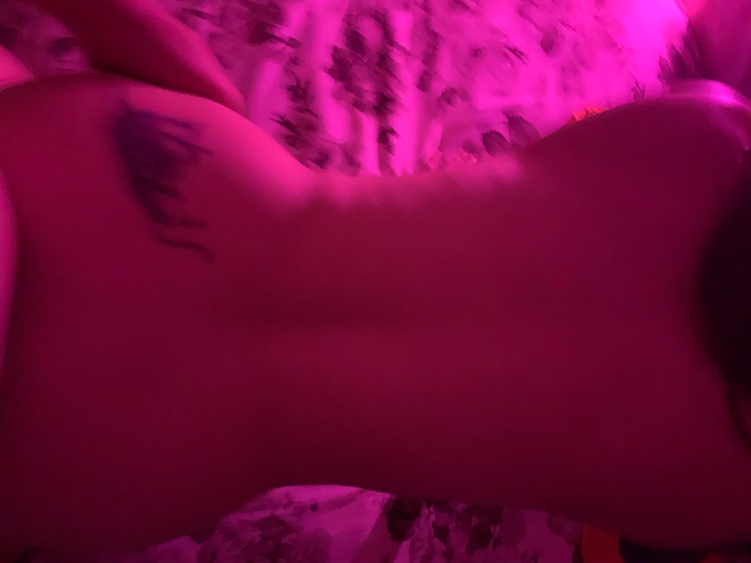 2737C623-2DE5-4698-B244-F58DC3E17D9D.jpeg